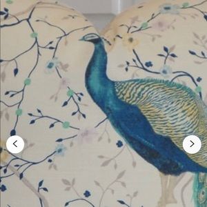 Peacock pillow cover